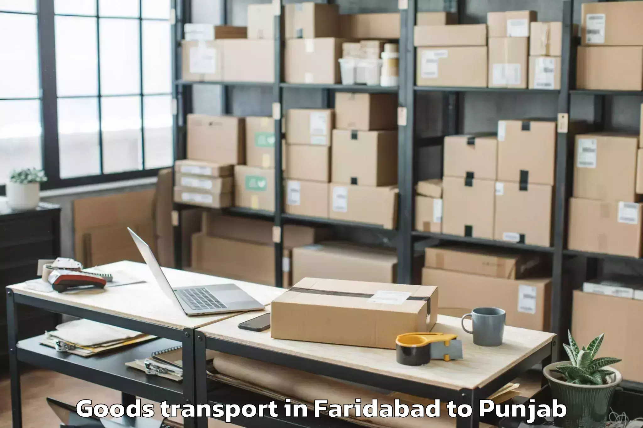 Book Faridabad to Dhilwan Goods Transport